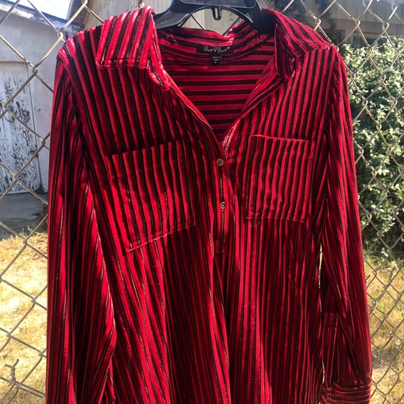 Velvet Pinstripe Blouse 🧯 - Picture 6 of 8